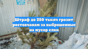 Штраф до 250 тысяч грозит ростовчанам за выброшенные на мусор елки