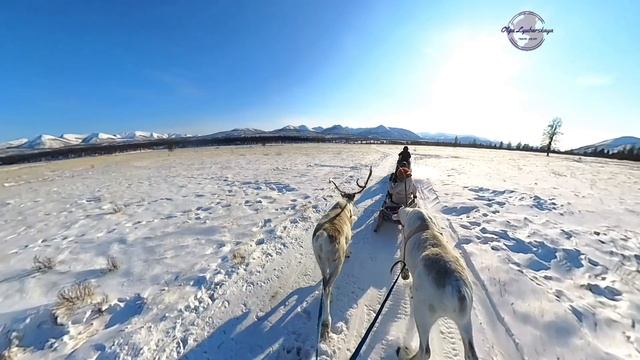 Мы поедем,  мы помчимся... смотреть онлайн