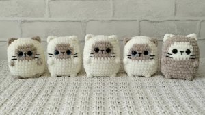 ВИДЕО-МК Котик квадратик