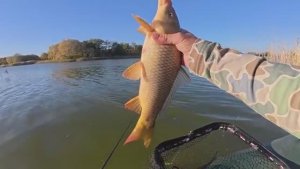 ЗАБРАЛСЯ НА ЛОДКЕ В ДЕБРИ, ГДЕ САЗАН ЖИРУЕТ! Рыбалка на поплавок. Ловля сазана.