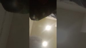 музыка про Лизу создателя Морозова Александра