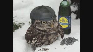 ОГНЕННАЯ ВОДА ЭТО ЗАГАДКА ПРИРОДЫ (сборник анекдотов №465)