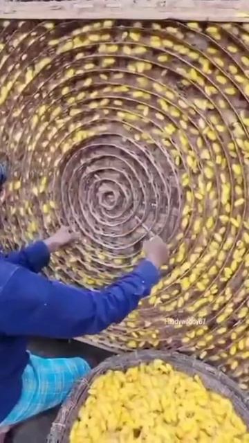 YouCut_20260111_151743762.mp4