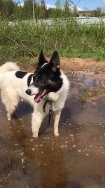 БАТИСТ в МП г.Перми ждет хозяина