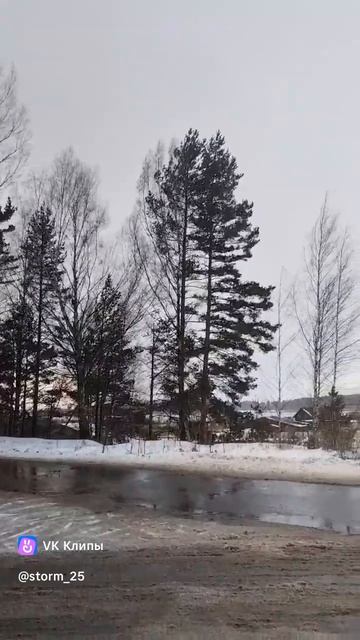 Мои самые первые видео январь 2025 смотреть онлайн