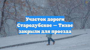 Участок дороги Стародубское — Тихое закрыли для проезда