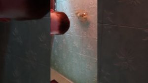 делаю из бумаги 99 ночей в лесу