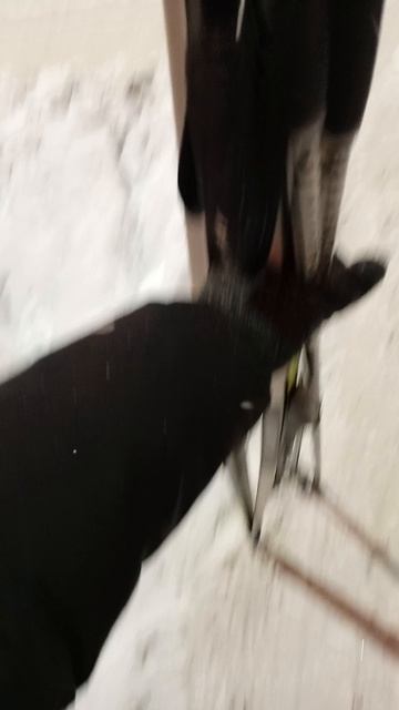 Поздно вечером иду кататься на лыжах.