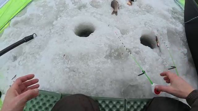 ПОСТАВИЛ ПАЛАТКУ В СТАЮ КАРАСЯ! Он поднял кивок и потащил в коряги! Зимняя рыбалка на карася 2025.