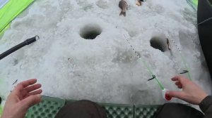 ПОСТАВИЛ ПАЛАТКУ В СТАЮ КАРАСЯ! Он поднял кивок и потащил в коряги! Зимняя рыбалка на карася 2025.