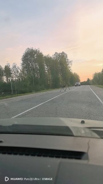 VID_20250914_181817.mp4 смотреть онлайн