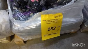 11-01-2026. Чудо произошло!👍 Целый день покатушки.😉