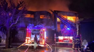 Из горящего магазина в Ялте спасли двух котов