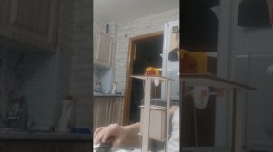 макет лифта