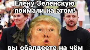 ТАМИР ШЕЙХ / АНДРЕЙ ПОНОМАРЬ / ЕЛЕНУ ЗЕЛЕНСКУЮ ПОЙМАЛИ НА ЭТОМ. новости сводки