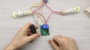 Дистанционный выключатель 220 вольт Радиореле двухканальное. Как привязать пульт