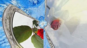 Розы на Снегу в Ледяной Галерее 2 от Киностудии Мудрого Кота Тимофея!