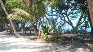 Дорога к пляжу, Дараванду, Мальдивы, январь 2026 (Way to the Beach, Dharavandhoo, Maldives, Jan'26)