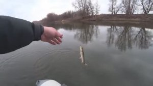 АВАНТЮРА ВЕКА! ТАКОЕ ВПЕРВЫЕ В ЖИЗНИ! Зимняя рыбалка 2025.