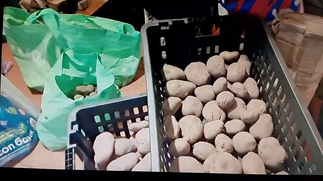 Страничка Надежды . Что с картохой через 3 месяца(Надино видео , переборка картохи . смотреть онлайн