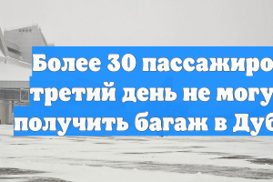 Более 30 пассажиров третий день не могут получить багаж в Дубае