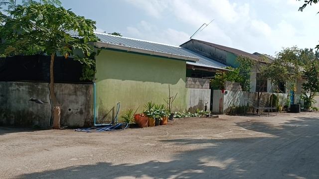 Остров Дараванду, Мальдивы, январь 2026 (Dharavandhoo, Maldives, January 2026)