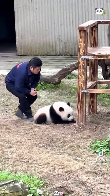 VID_20260111_151522_027.mp4