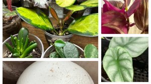 7 Января! Легка на подьем! Находка для дома!