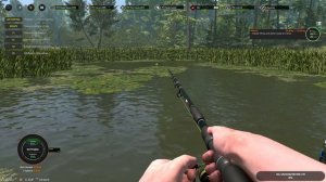 Professional Fishing 2 #29 чайное прохождение