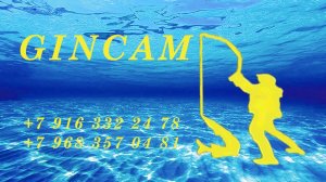 Обзор микрофона DJI mic mini