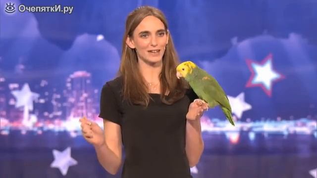 Дрессированный попугай на шоу талантов смотреть онлайн