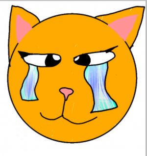 СОБАЧЕК БОЛЬШЕ НЕ БУДЕТ? ПОЧЕМУ?