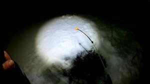 ТАКОГО Я НЕ ОЖИДАЛ.НОЧНАЯ РЫБАЛКА НА СУДАКА.ЛОВЛЯ СУДАКА НА ТЮЛЬКУ.река ВОЛГА.