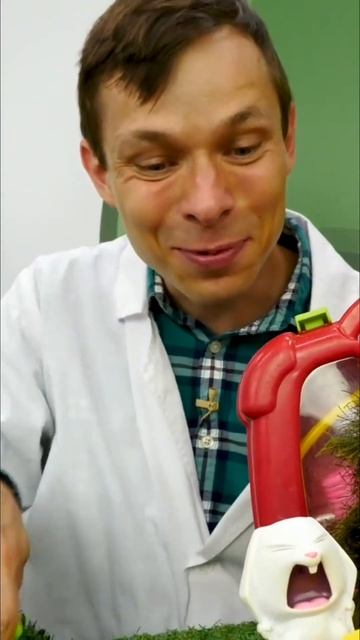 СРОЧНО! У Снежка болит животик! Доктор Ой спешит на помощь🐰💊 #тайнаяжизньживотных #шортс #длядетей смотреть онлайн