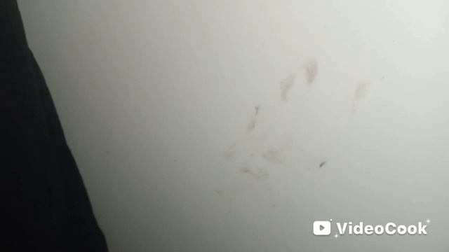 как измился мопед RASER GC 110 после покупки   
с лета 2025 г по январь 2026 г. смотреть онлайн