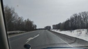 Хотели весной проверить состояние роз в нашем саду