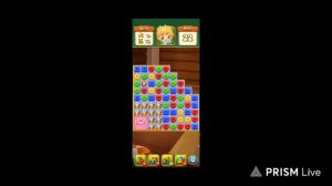 Тестовый запуск трансляции