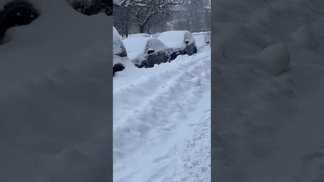 Снегопад в Москве 11 января 2026 года смотреть онлайн