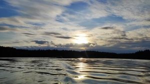 Природа на острове. Беларусь 2025