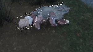 О жизни Синьки! 2 часть //echo