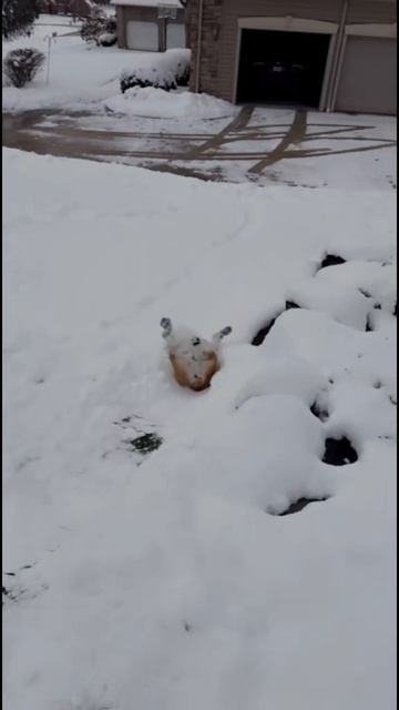 1113057782_1_tiktok_694bbac518c874_75669508.mp4