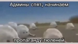 Хахахаха😎😂