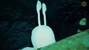 Что случилось с древней цивилизацией, скрытой под Иллинойсом