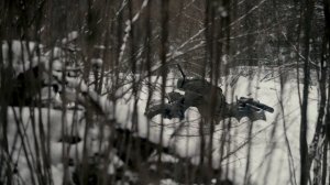 Русский снайпер уничтожил немецкую устоявшую засаду на дороге