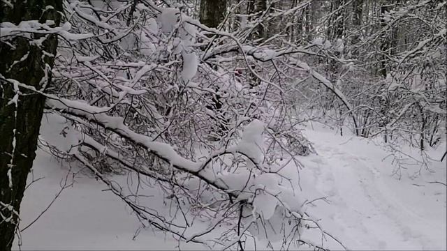 первый выезд на самодельных снегоходах январь 2026г смотреть онлайн
