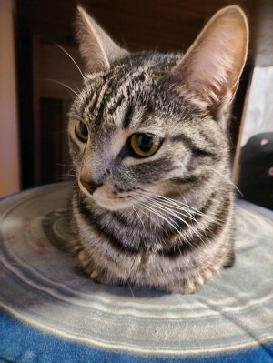 вечерний эфир 🫶