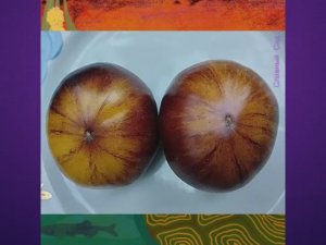 Каталог томатов на 2026 год. Новинки 2025 года. Часть 7. г. Киров.  т. 89229284031