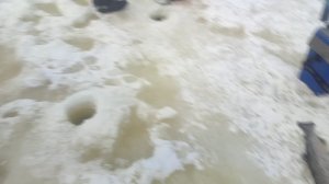 video5413330544555494814