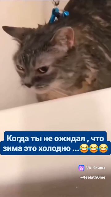 зима -это холодно