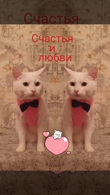 Открытка. Доброго утра, удачного дня!!! смотреть онлайн